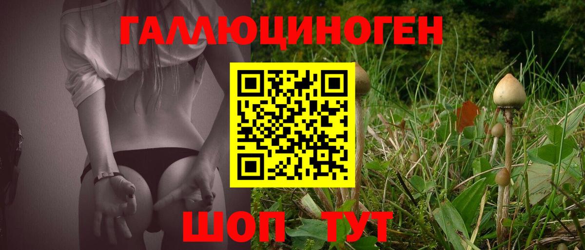 Псилоцибиновые грибы Cubensis  Вход с VPN  Кондопога 
